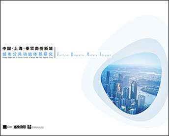 上海南桥新城城市公共功能体系研究