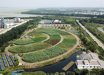 自然与城市｜科技湿地：科技成就生态发展之路